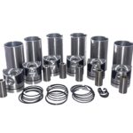 Conjunto de motor completo Weichai